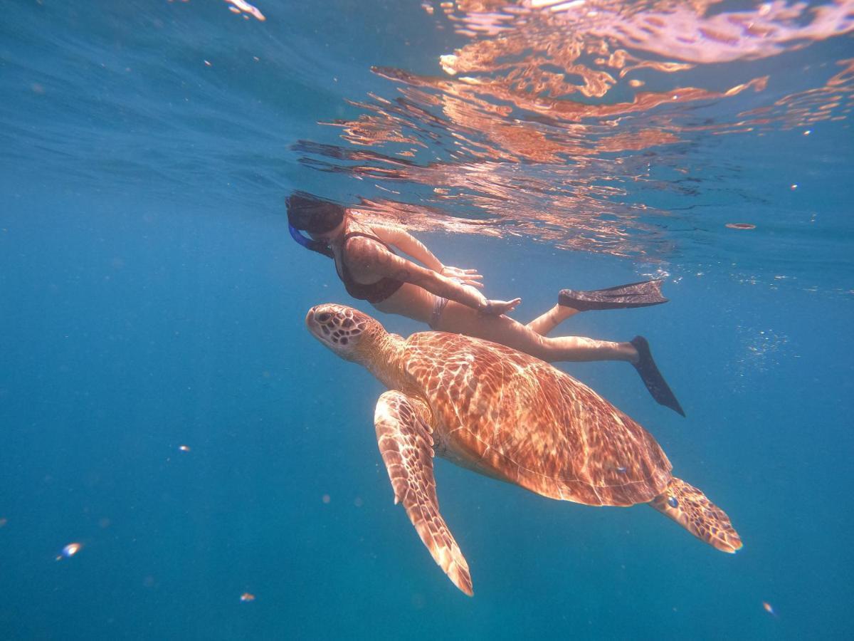 Maringo Cottage Quần đảo Gili Ngoại thất bức ảnh
