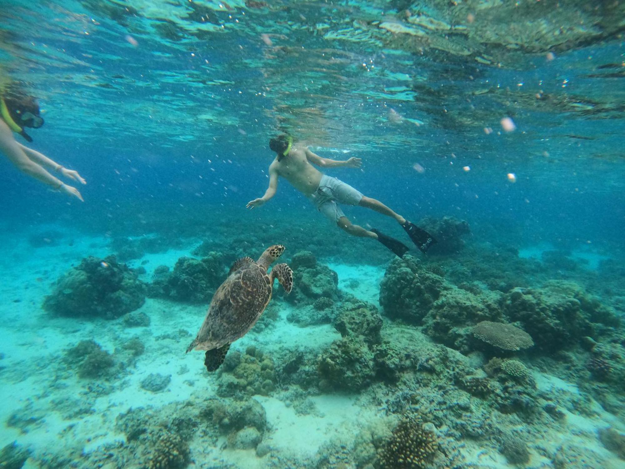 Maringo Cottage Quần đảo Gili Ngoại thất bức ảnh
