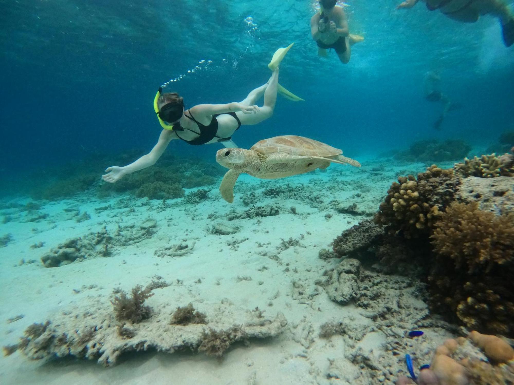 Maringo Cottage Quần đảo Gili Ngoại thất bức ảnh
